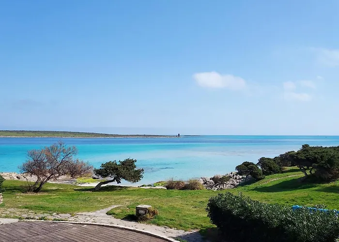 Apartment Comfortable And Bright Flat *