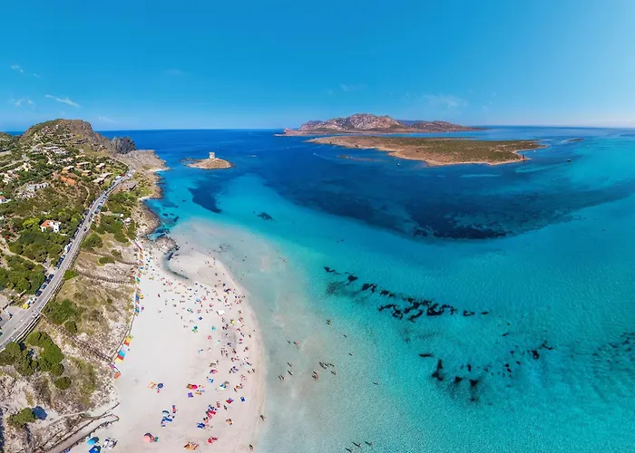 Apartment Comfortable And Bright Flat