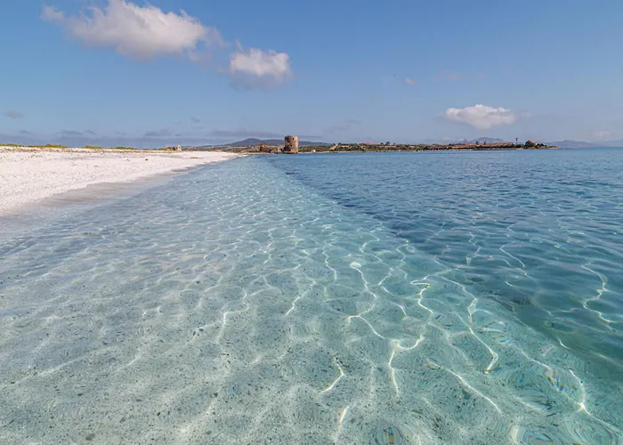 Apartment Comfortable And Bright Flat