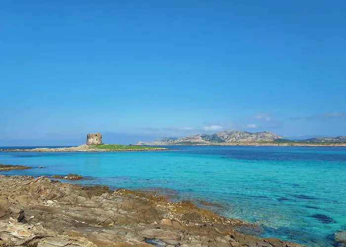 Comfortable And Bright Flat