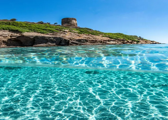 Comfortable And Bright Flat Apartman *